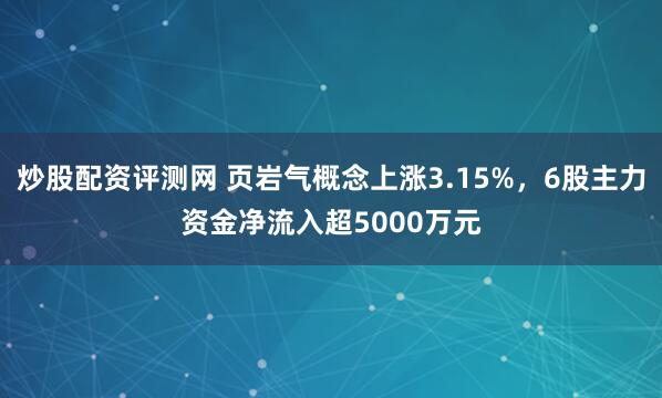 炒股配资评测网 页岩气概念上涨3.15%，6股主力资金净流入超5000万元