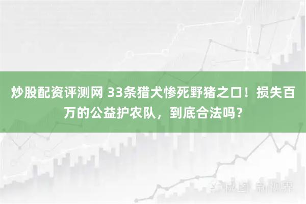 炒股配资评测网 33条猎犬惨死野猪之口！损失百万的公益护农队，到底合法吗？